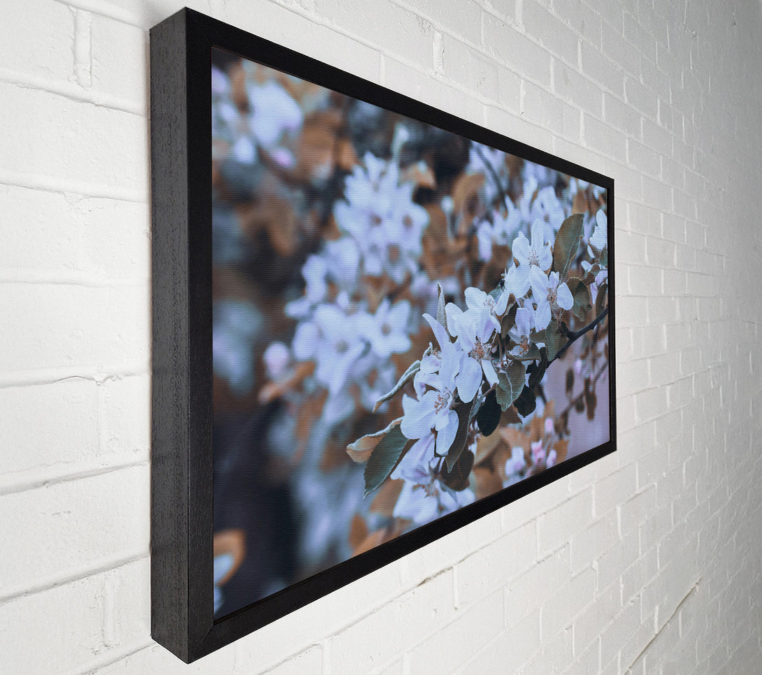  A Canvas Print of Pale Lavender Bloom Canvas Print