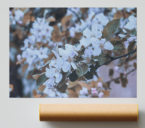 Pale Lavender Bloom Giclee Print