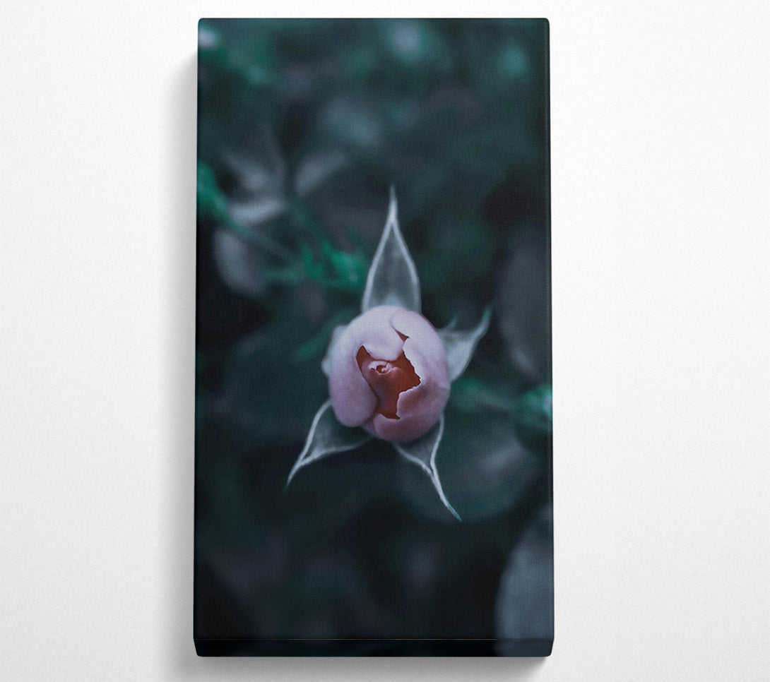  A Canvas Print of Teal Rose Bud Canvas Wall Art