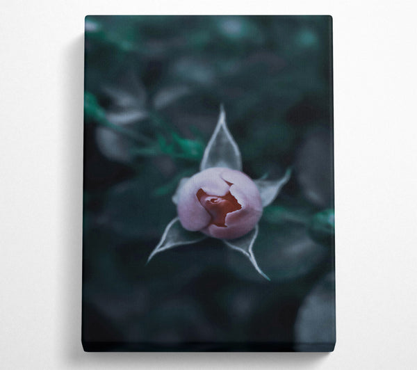  A Canvas Print of Teal Rose Bud Canvas Wall Art