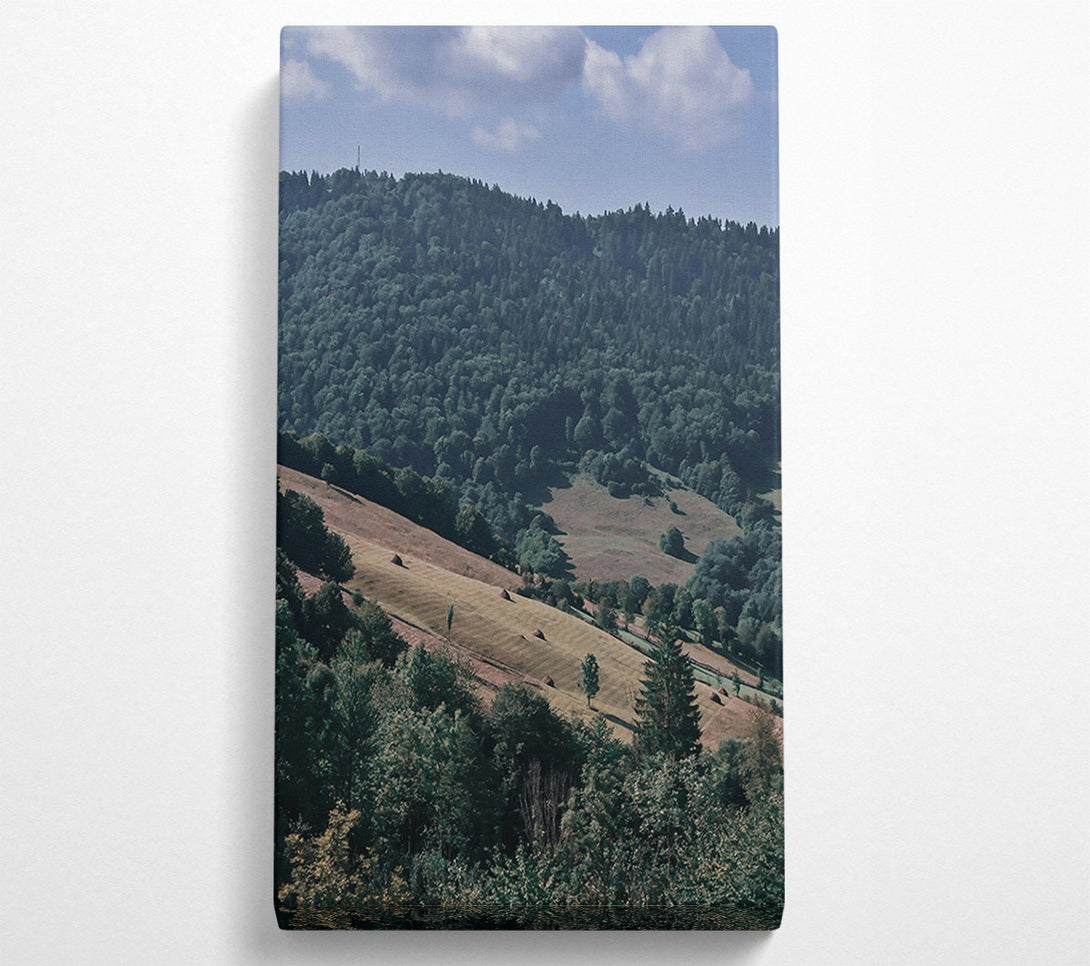  A Canvas Print of Green Valley Slopes Canvas Art