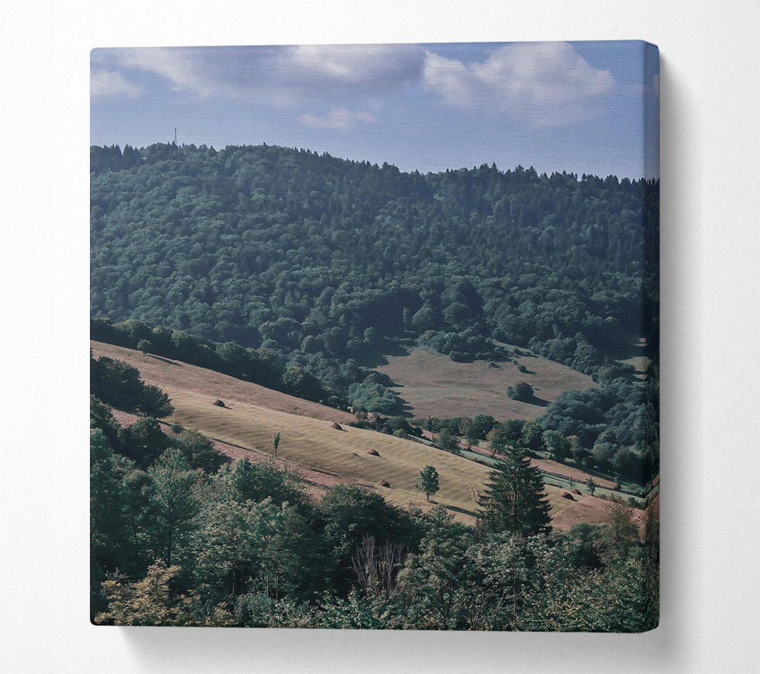  A Canvas Print of Green Valley Slopes Canvas Art