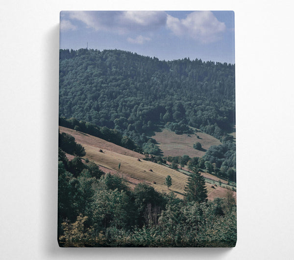  A Canvas Print of Green Valley Slopes Canvas Art