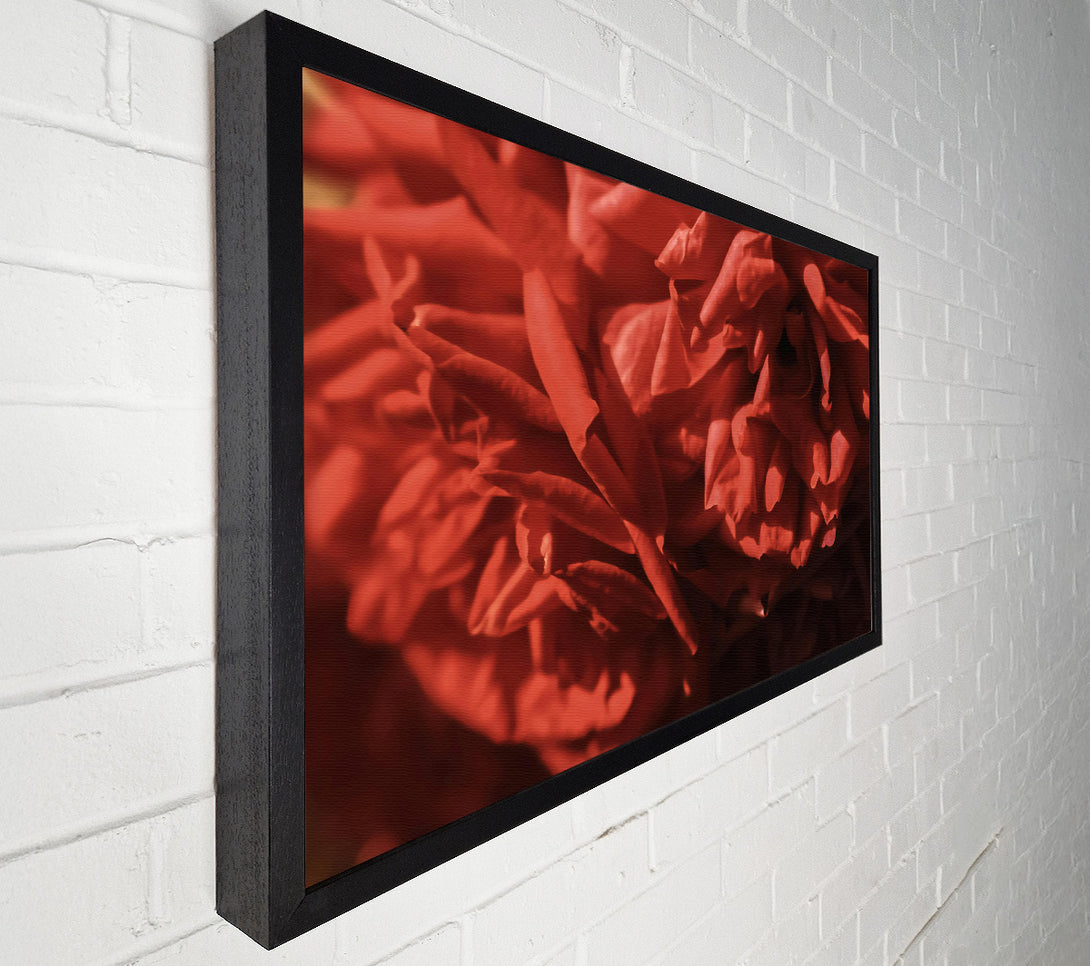  A Canvas Print of Crimson Rose Petals. Canvas Wall Art