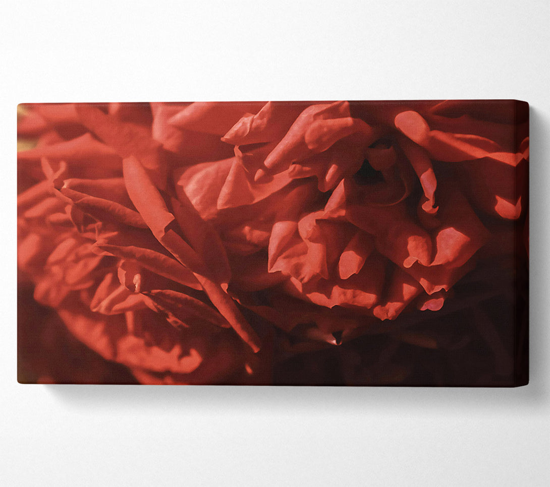  A Canvas Print of Crimson Rose Petals. Canvas Wall Art