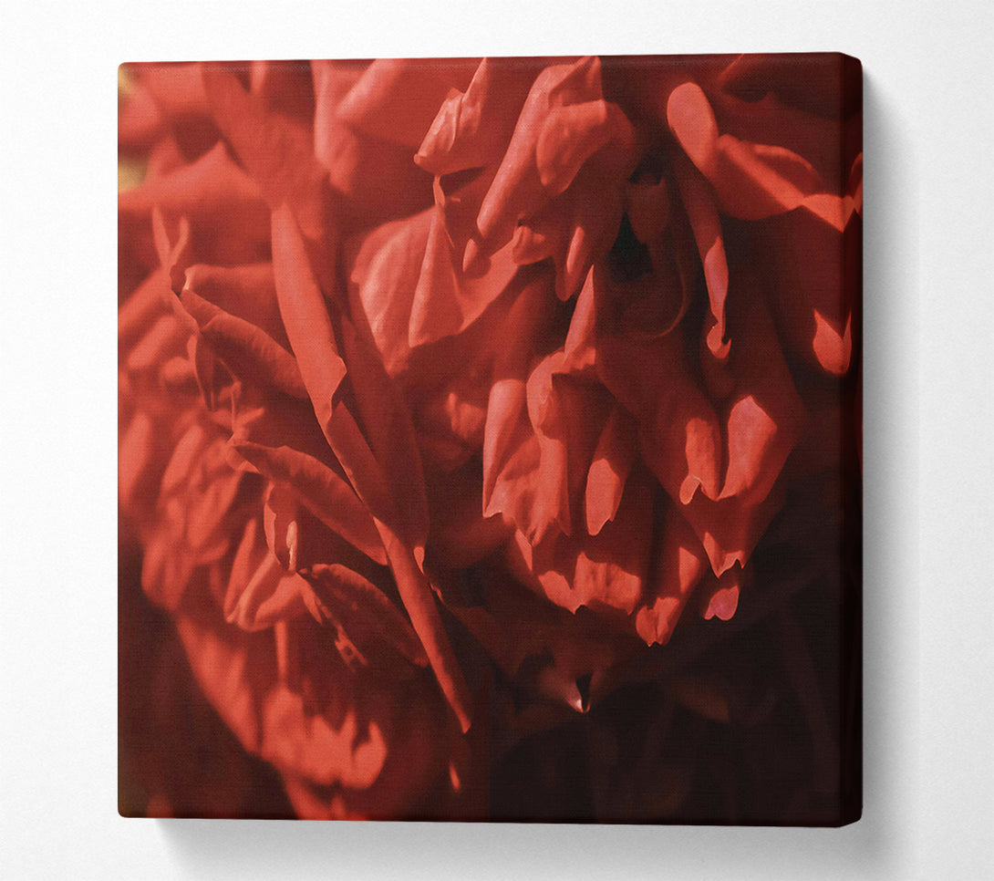  A Canvas Print of Crimson Rose Petals. Canvas Wall Art