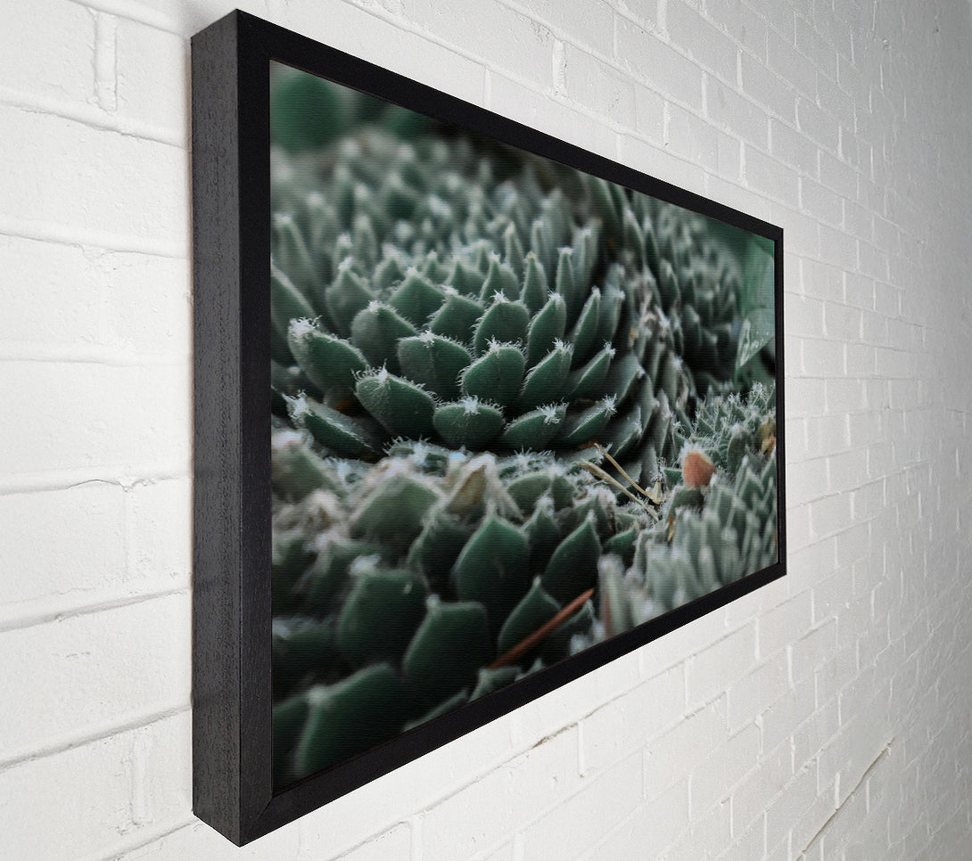  A Canvas Print of Dusty Teal Rosettes Canvas Wall Art