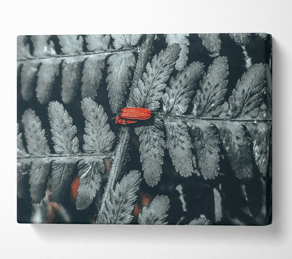  A Canvas Print of Red On Grey Fern Canvas Print
