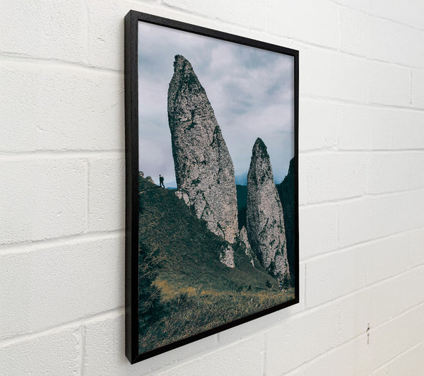 Grey Mountain Sentinels