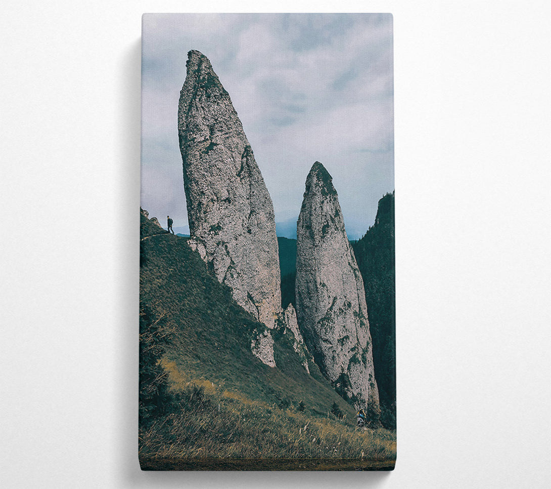  A Canvas Print of Grey Mountain Sentinels Canvas Print