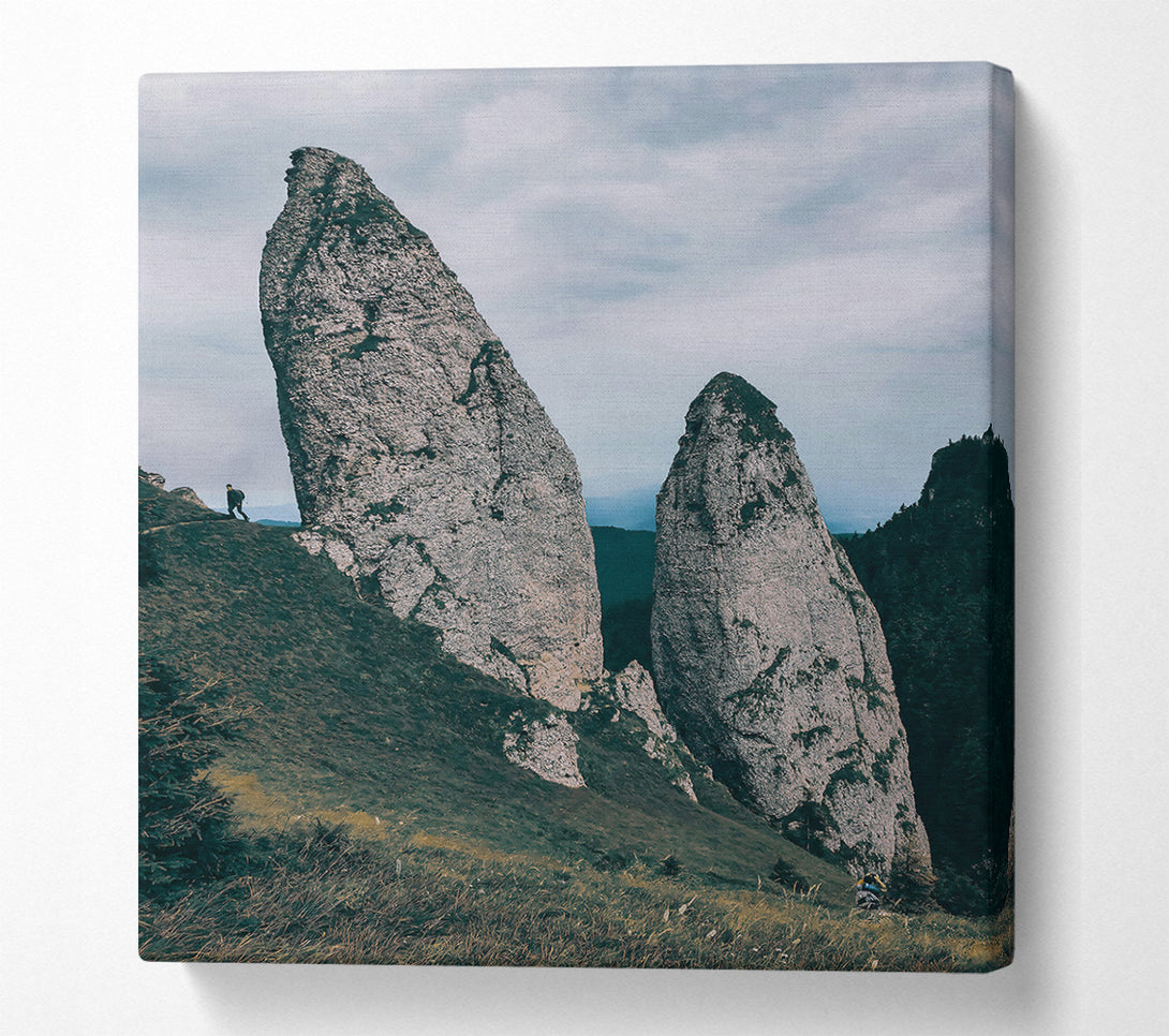  A Canvas Print of Grey Mountain Sentinels Canvas Print
