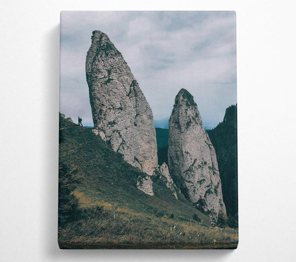  A Canvas Print of Grey Mountain Sentinels Canvas Print