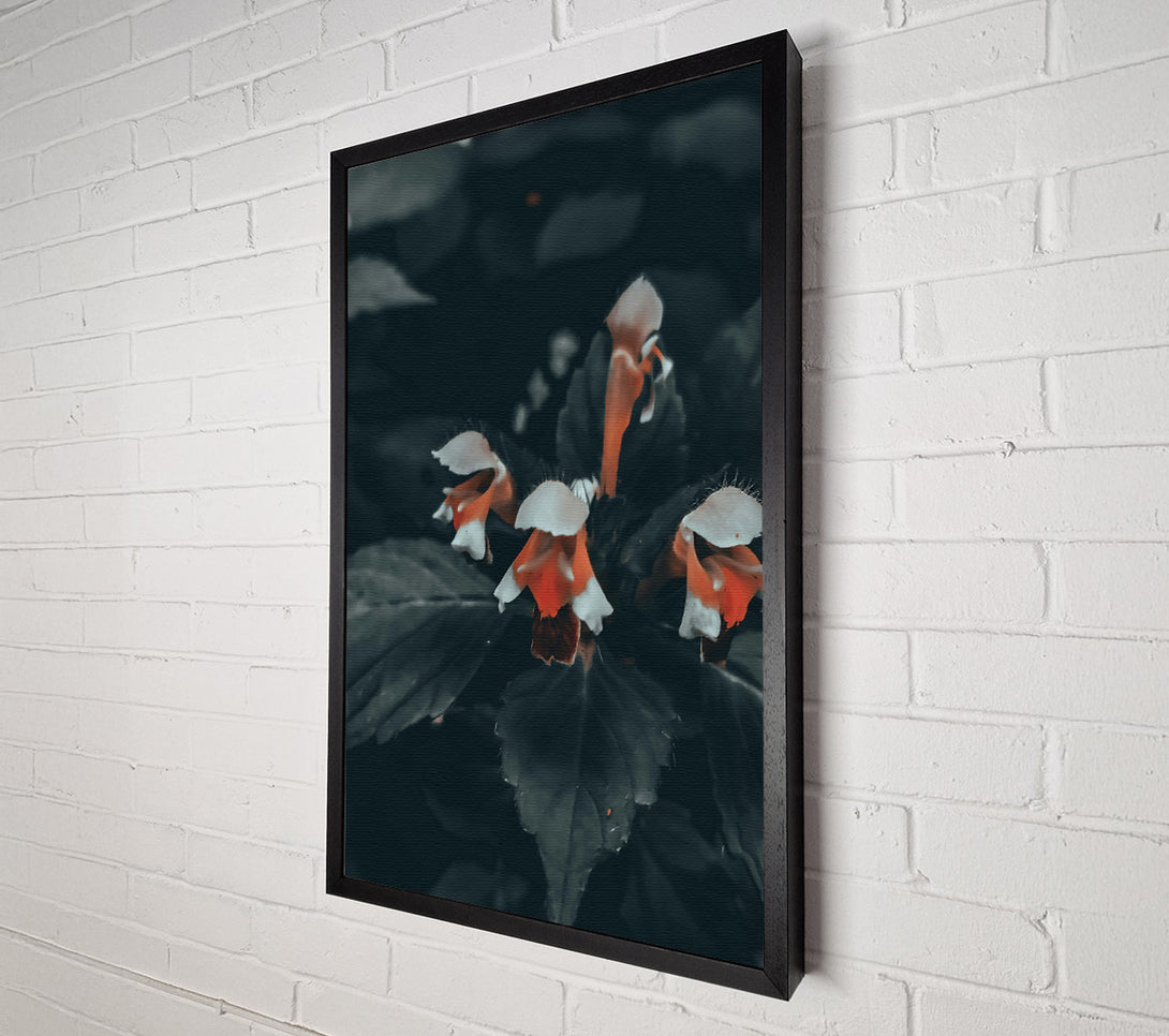  A Canvas Print of Orange Bloom In Darkness Canvas Art