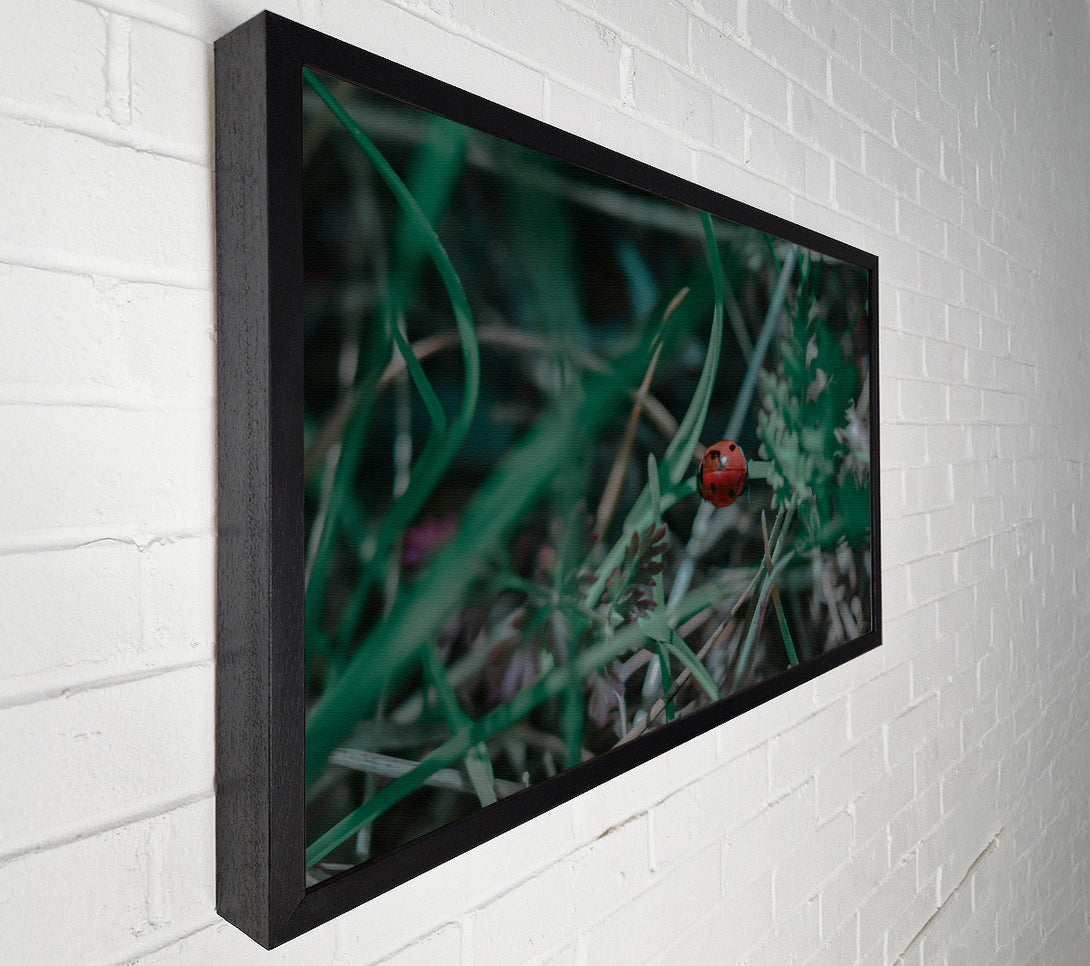 A Canvas Print of Red In The Green Canvas Art