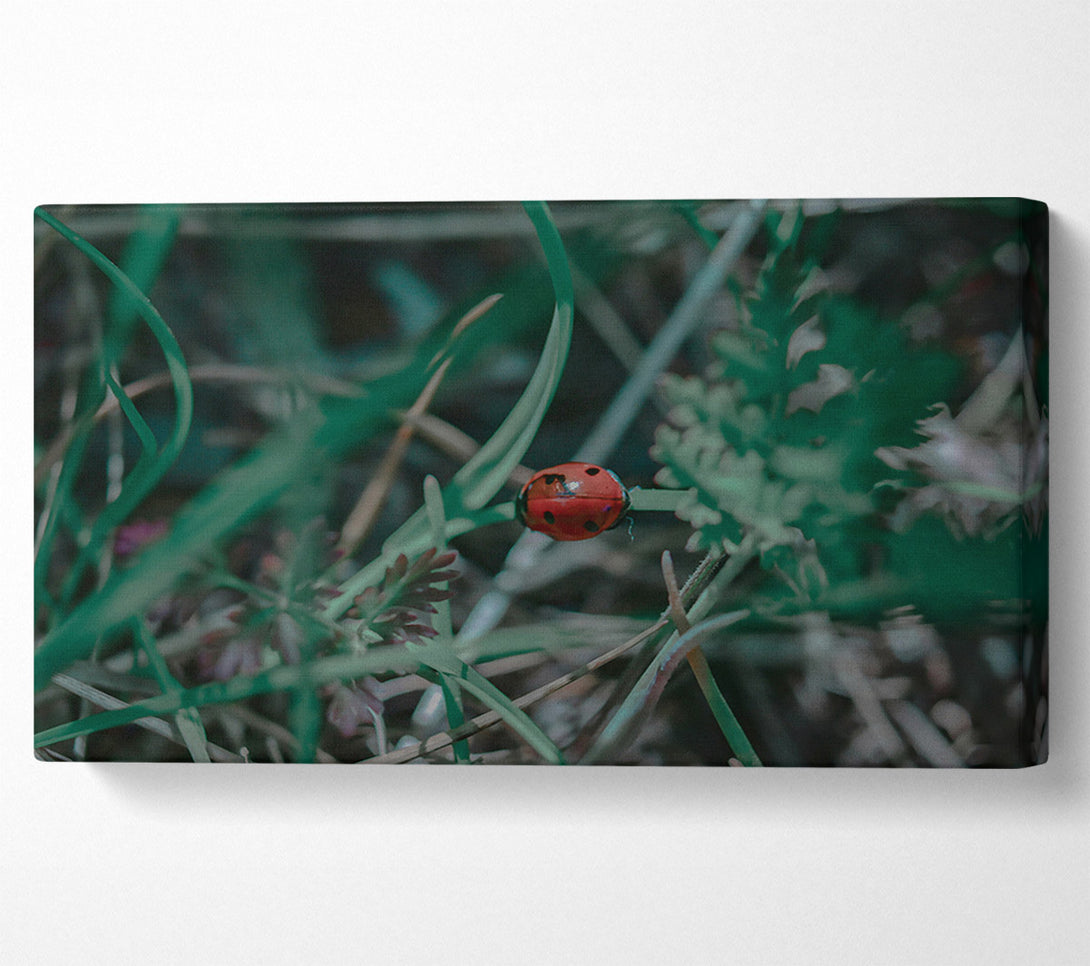  A Canvas Print of Red In The Green Canvas Art