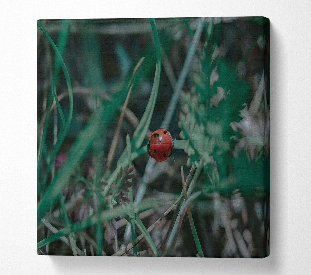  A Canvas Print of Red In The Green Canvas Art