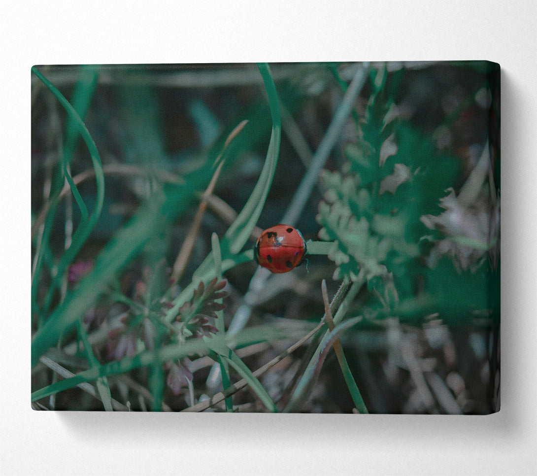  A Canvas Print of Red In The Green Canvas Art