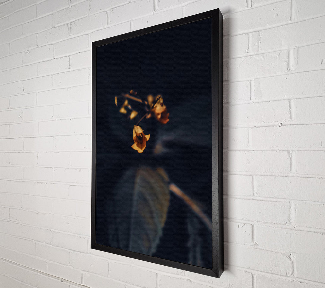  A Canvas Print of Golden Bloom In Dark Canvas Art