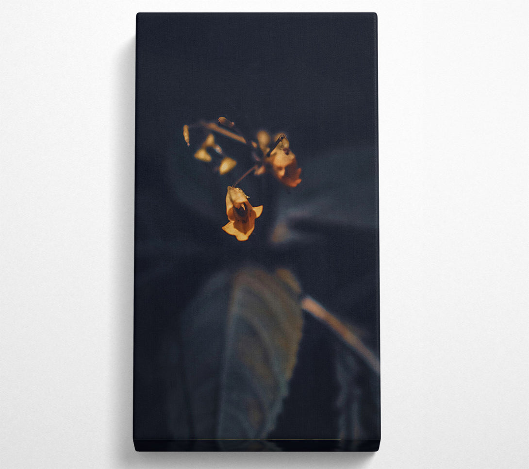  A Canvas Print of Golden Bloom In Dark Canvas Art