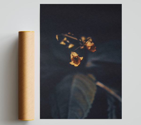 Golden Bloom In Dark Giclee Print
