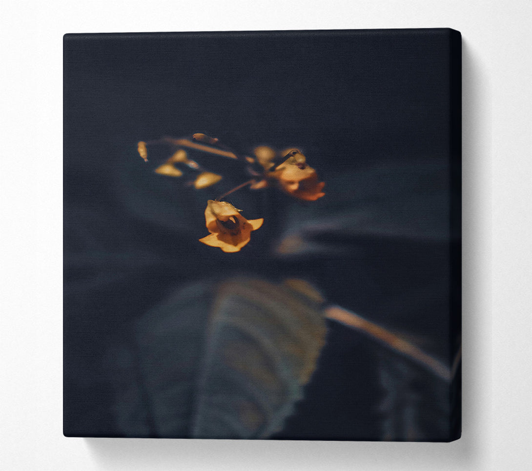  A Canvas Print of Golden Bloom In Dark Canvas Art