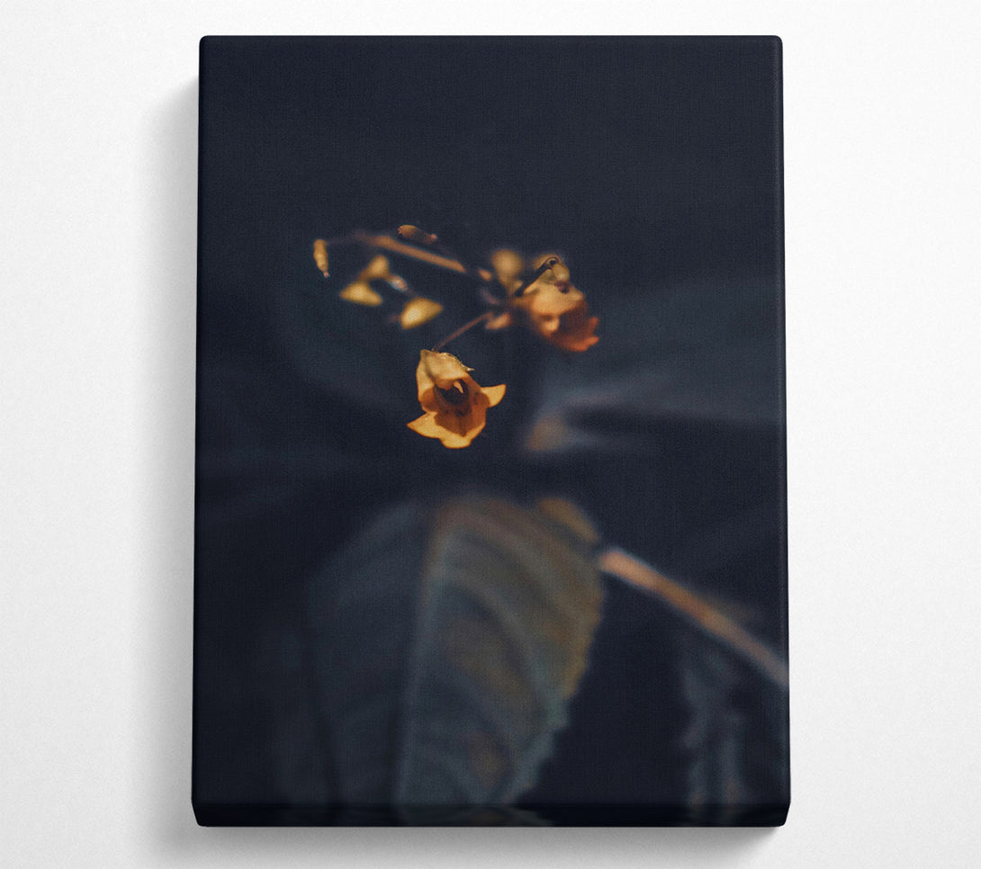  A Canvas Print of Golden Bloom In Dark Canvas Art