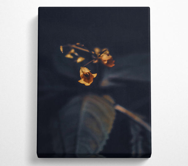  A Canvas Print of Golden Bloom In Dark Canvas Art