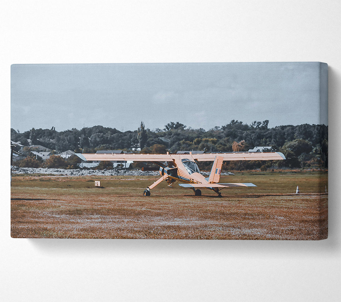  A Canvas Print of Golden Wings Takeoff Canvas Wall Art