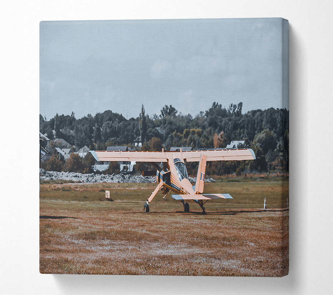  A Canvas Print of Golden Wings Takeoff Canvas Wall Art