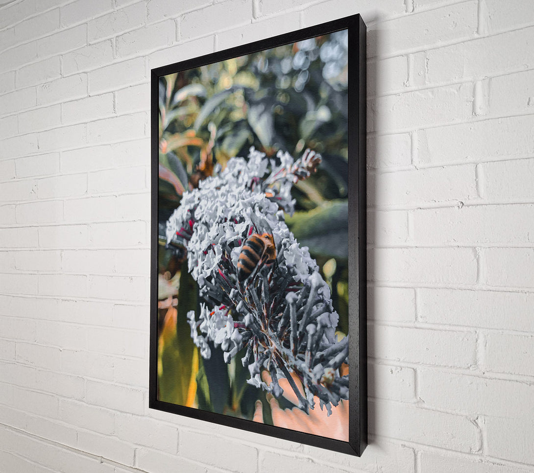 A Canvas Print of White Flower Buzzing Bee Canvas Wall Art