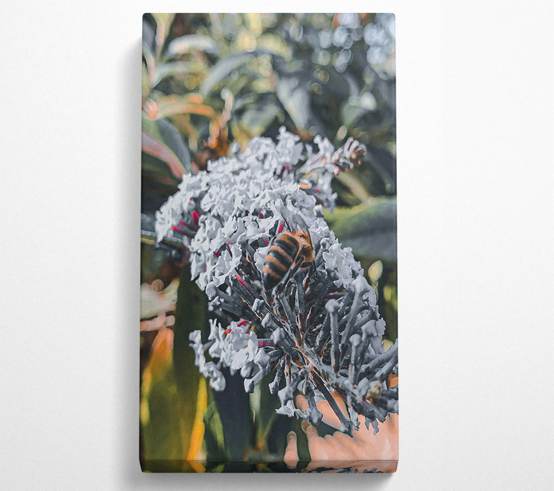  A Canvas Print of White Flower Buzzing Bee Canvas Wall Art
