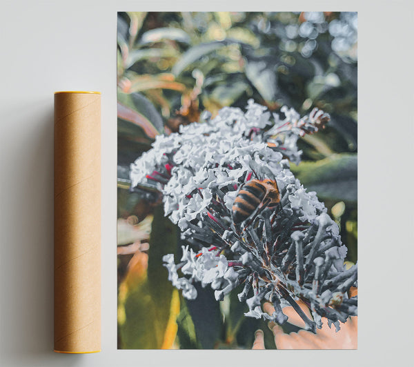 White Flower Buzzing Bee Print
