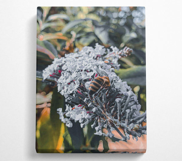  A Canvas Print of White Flower Buzzing Bee Canvas Wall Art