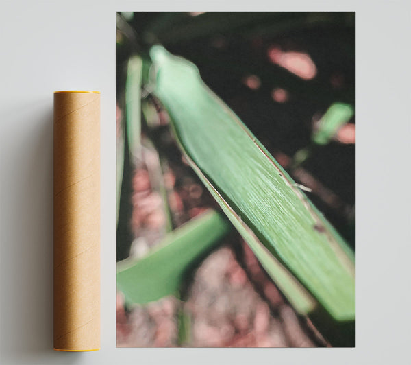 Green Leaf Texture Poster