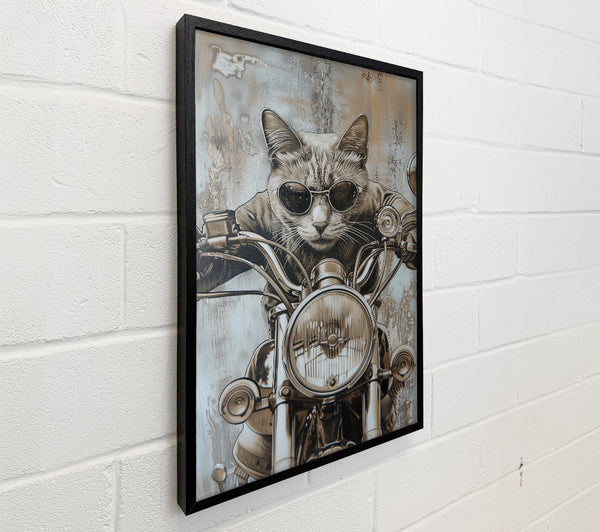 Motorbike Cat