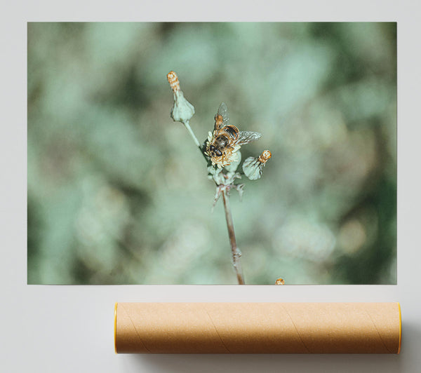 Green Bee Bloom Print