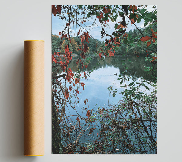Blue Water Through Leaves Giclee Print