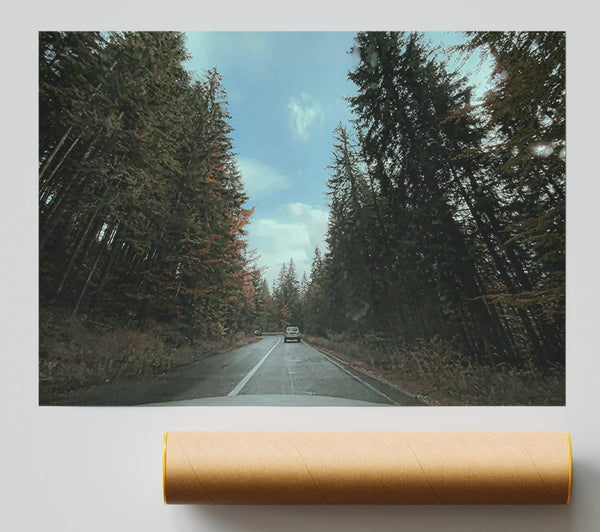 Green Trees And Road Print