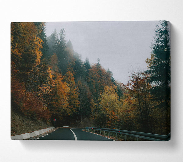  A Canvas Print of Golden Road Through Fog Canvas Art