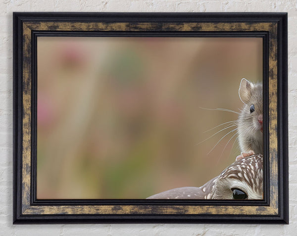 Mouse On A Owl Framed Print