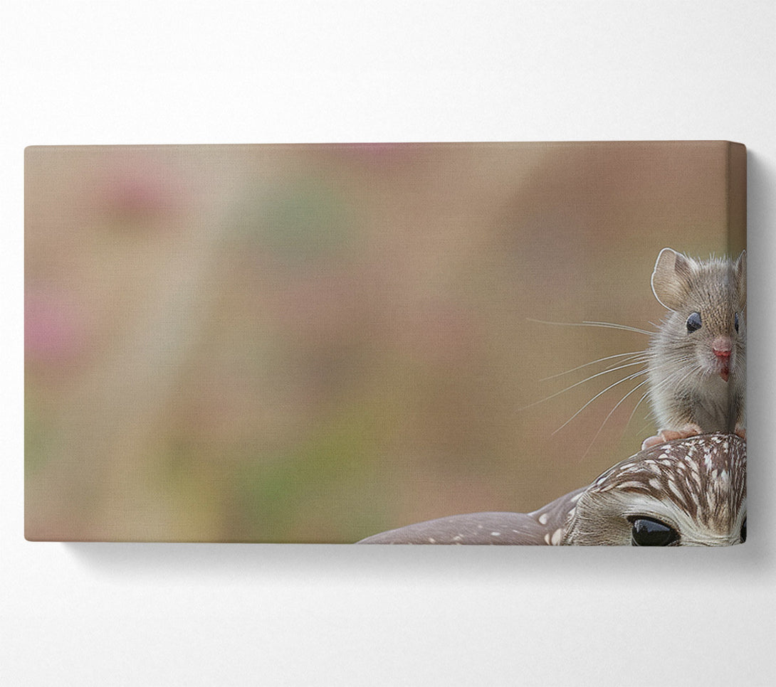  A Canvas Print of Mouse On A Owl Canvas Print
