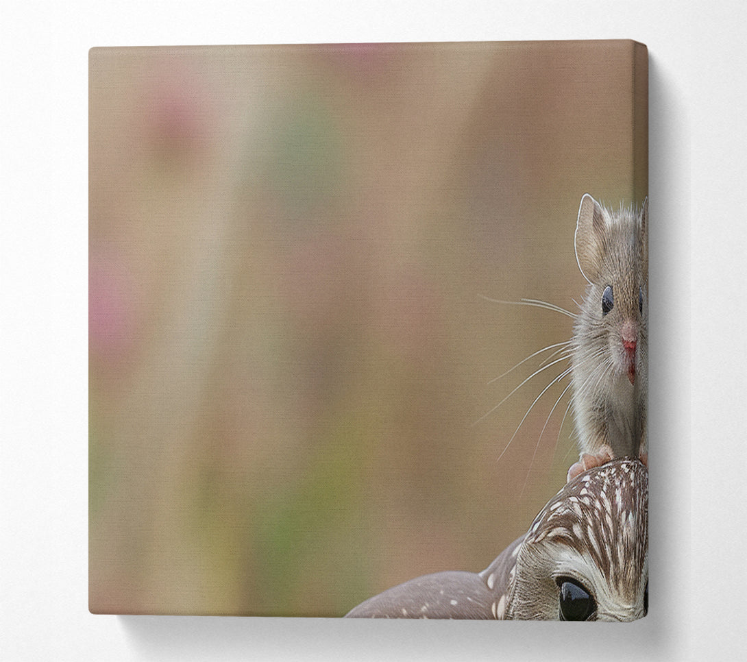  A Canvas Print of Mouse On A Owl Canvas Print