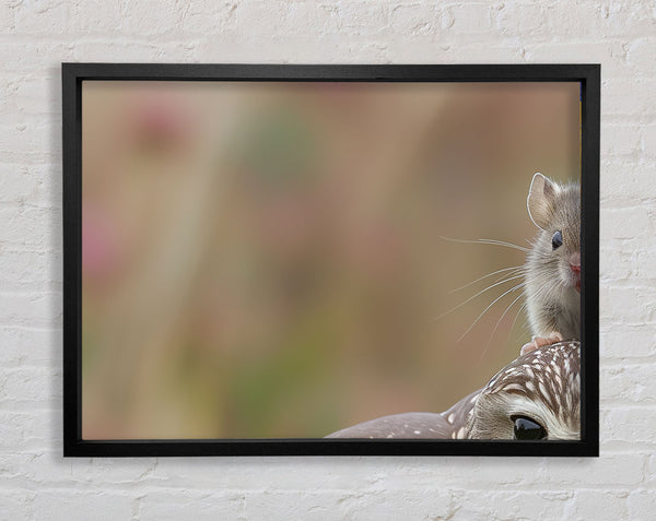 Mouse On A Owl Framed Print