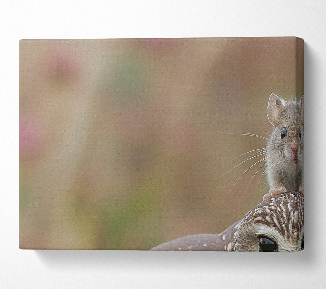  A Canvas Print of Mouse On A Owl Canvas Print