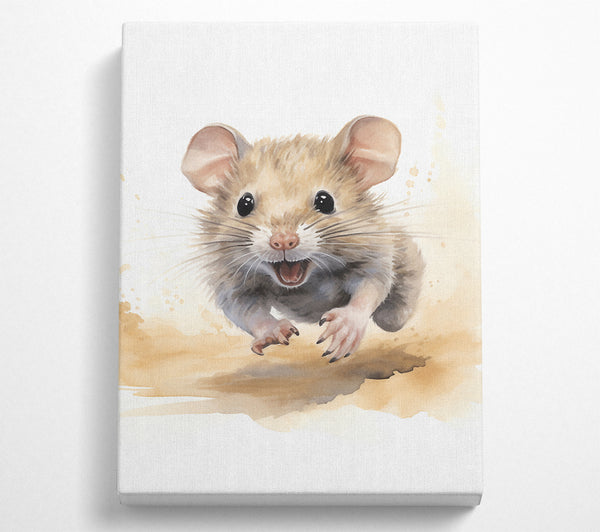  A Canvas Print of Mouse Run Canvas Print
