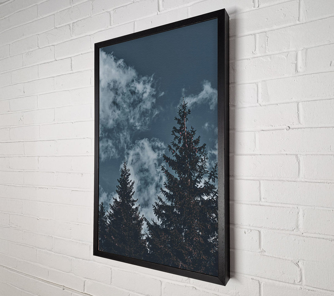  A Canvas Print of Azure Pines And Clouds Canvas Wall Art