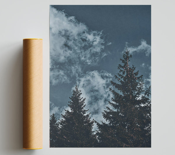 Azure Pines And Clouds Poster