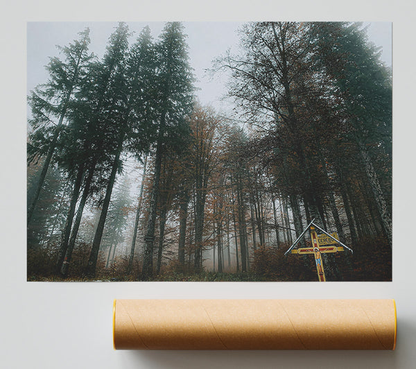Green Foggy Forest Path Print
