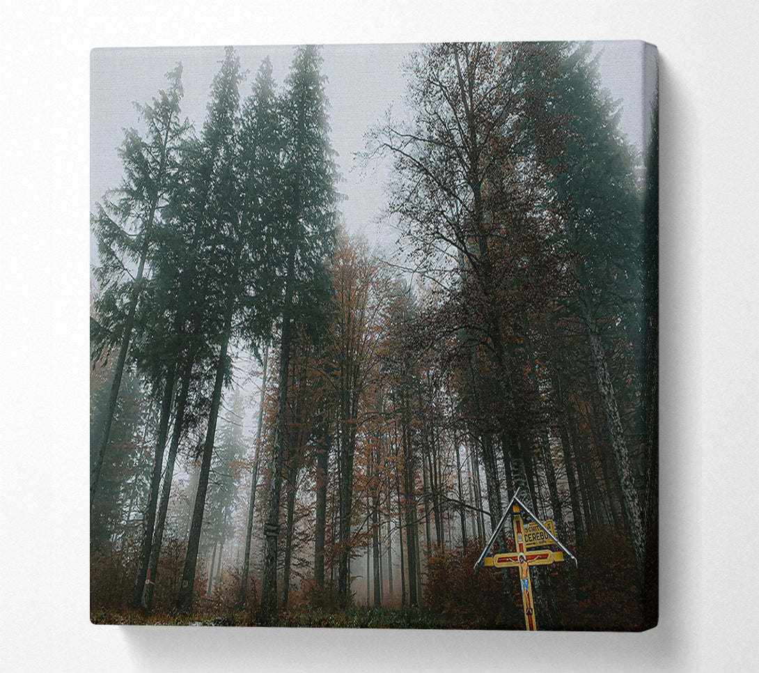  A Canvas Print of Green Foggy Forest Path Canvas Art