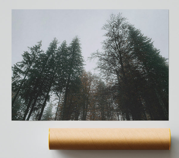 Grey Skies, Green Trees Poster